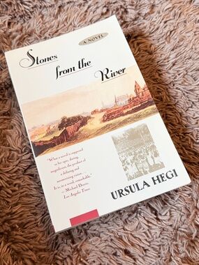 Stones from the River by Ursula Hegi drama books historical fiction novels